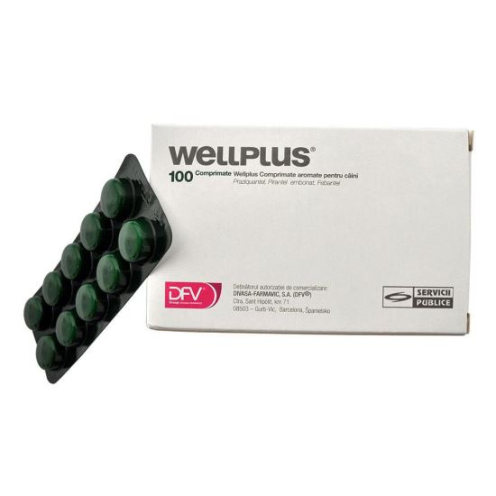 Read more about the article PROMO WELLPLUS DOGS 100+30 gratis