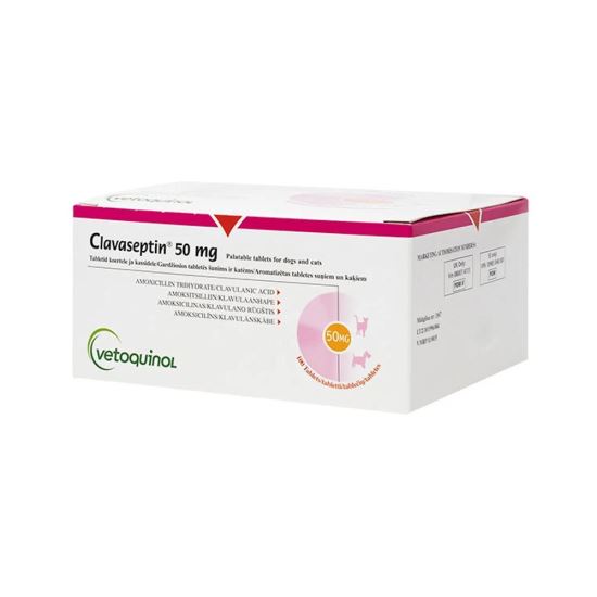 Read more about the article PROMO CLAVASEPTIN 50mg x 10tb 5+1 gratis