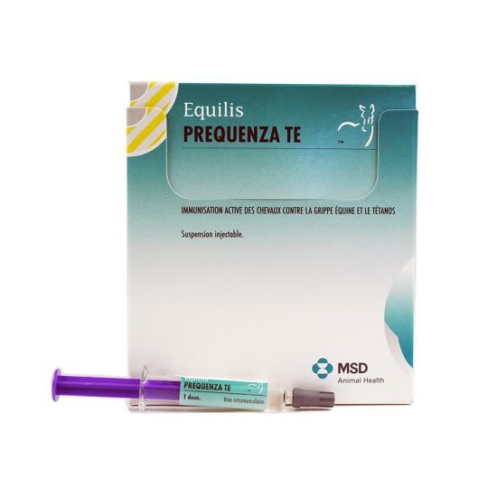 Read more about the article EQUILIS PREQUENZA Te 1 dz