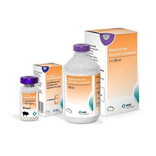 Read more about the article PORCILIS LAWSONIA 50 dz
