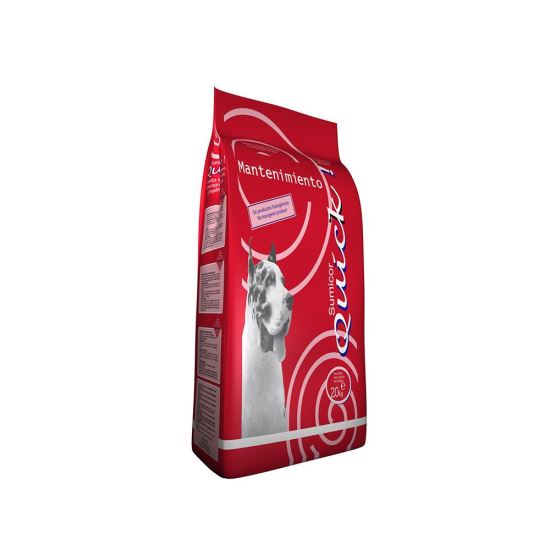 Read more about the article QUICK MANTENIMIENTO 20 kg