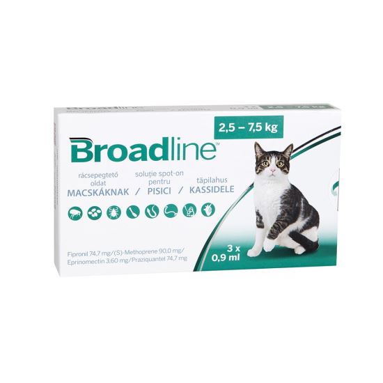 Read more about the article BROADLINE L