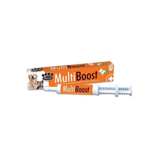 Read more about the article MULTI BOOST CAINI 60 ml
